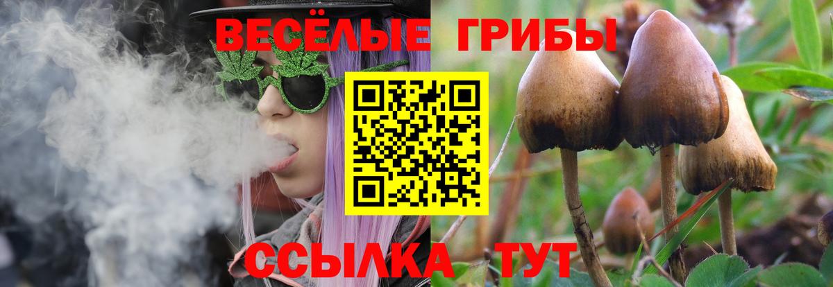 Кимры  Галлюциногенные грибы Cubensis  Вход с VPN 